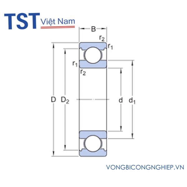 dau 6 tran 2 scaled 1