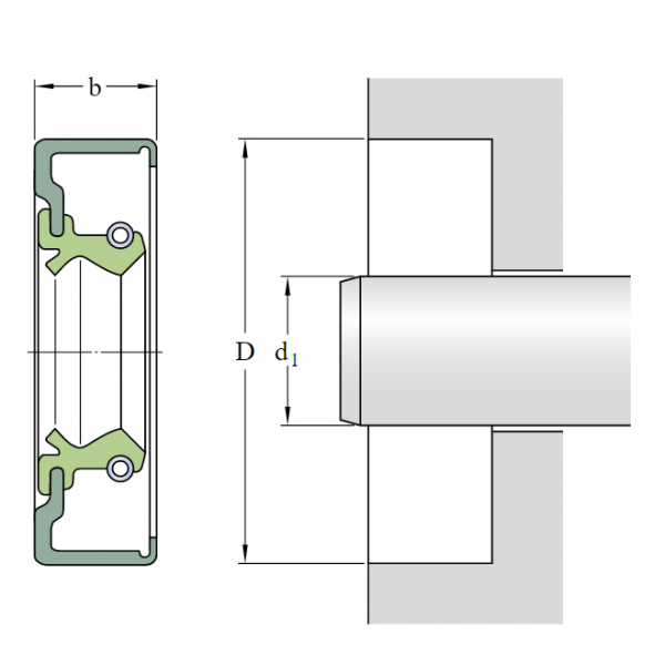 banve RSA1 P