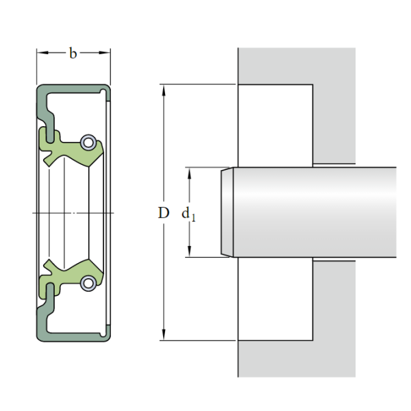 banve RSA1 V