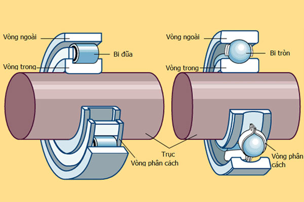 Hướng dẫn cách lắp vòng bi vào trục chuẩn | TST Việt Nam