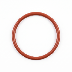 Gioăng X-Ring XR 287X6.99 FKM DEDE